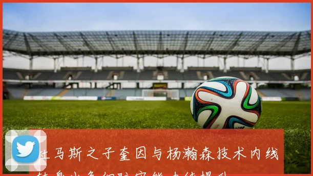 杜马斯之子奎因与杨瀚森技术内线转身出色但防守能力待提升