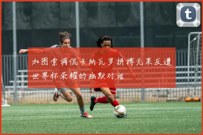 加图索调侃卡纳瓦罗拼搏无果反遭世界杯荣耀的幽默对话