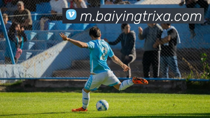 百盈体育平台生态图