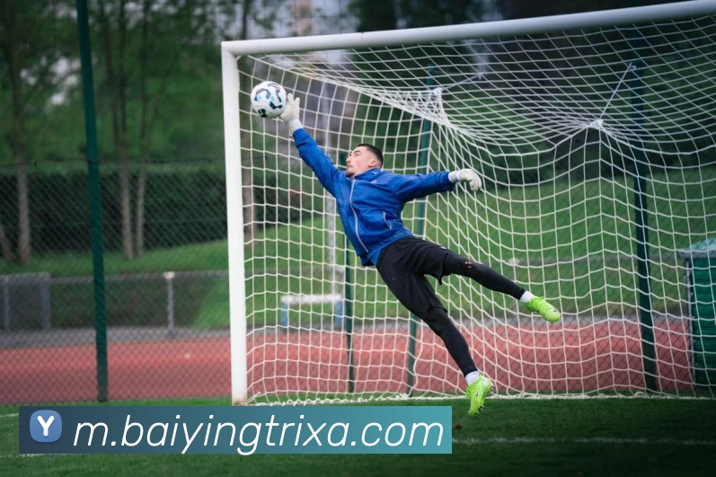 百盈体育APP 封面图